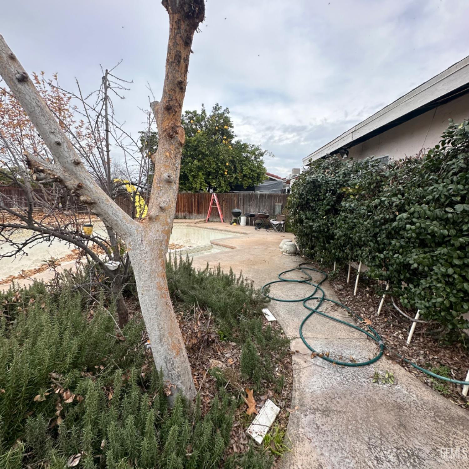 5907 Stacey Street — photo 19