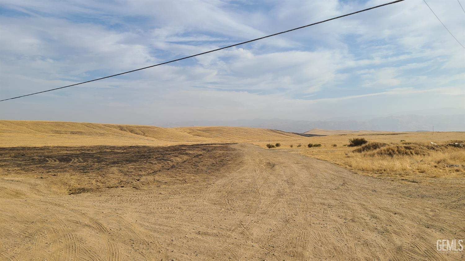 Morning Drive — photo 5