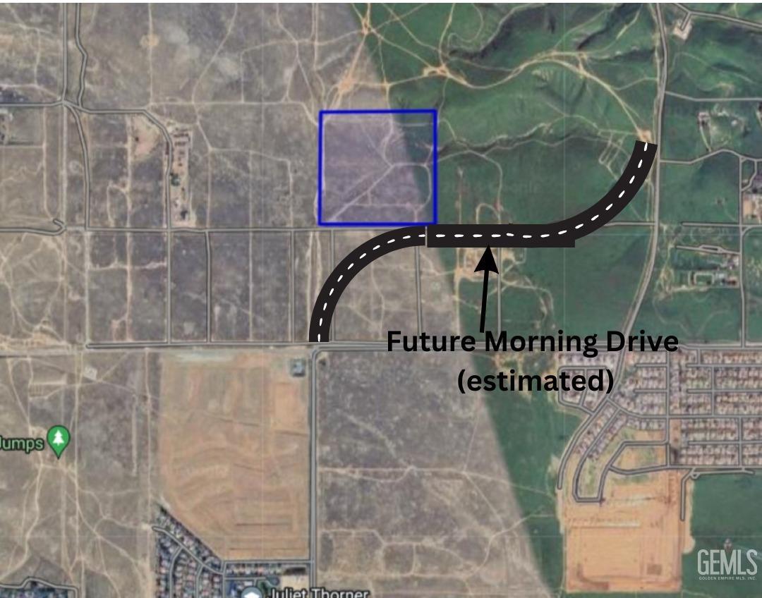 Morning Drive — photo 3