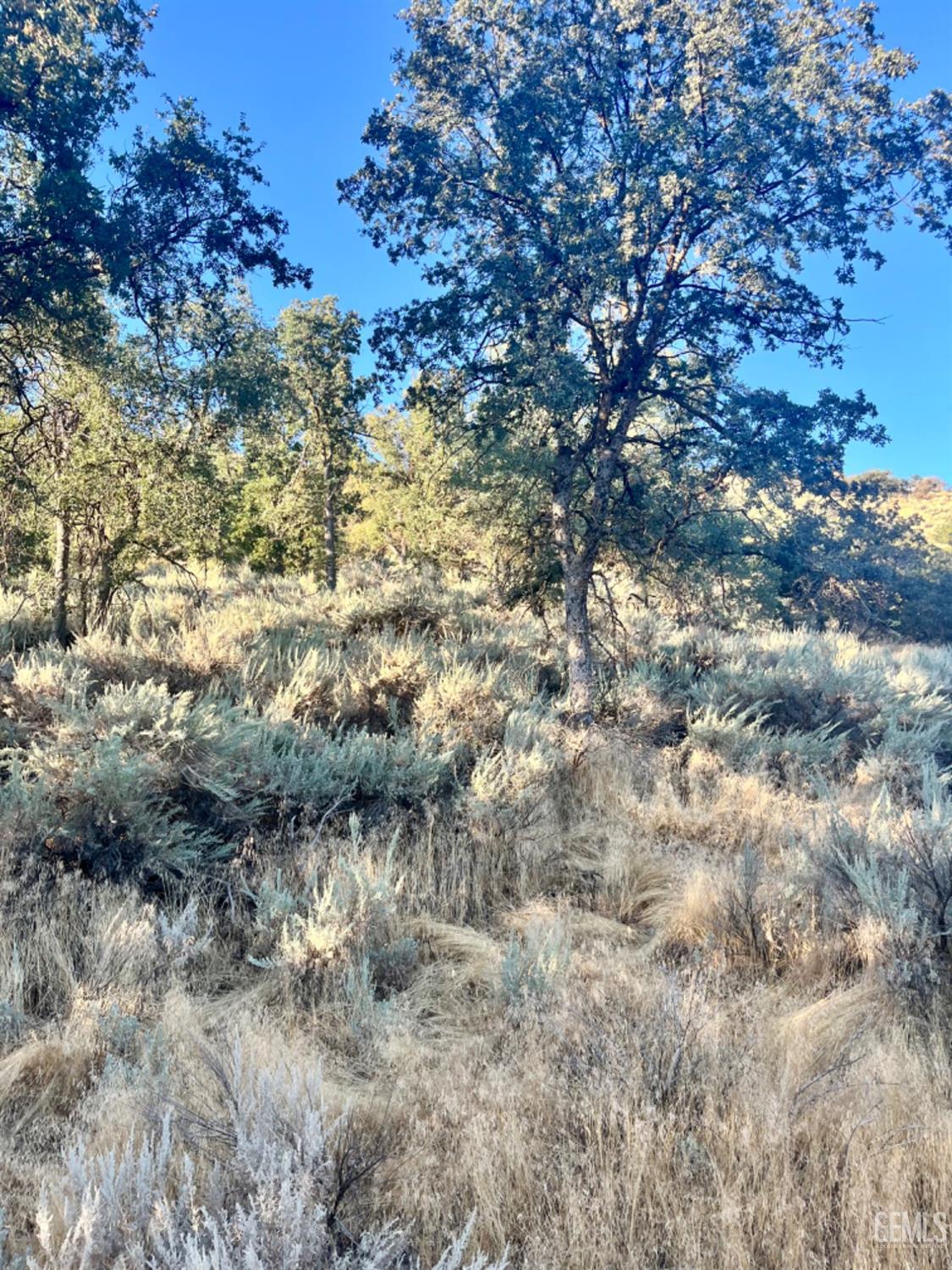 Alps Drive — photo 5