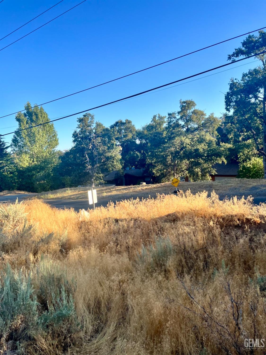 Alps Drive — photo 5