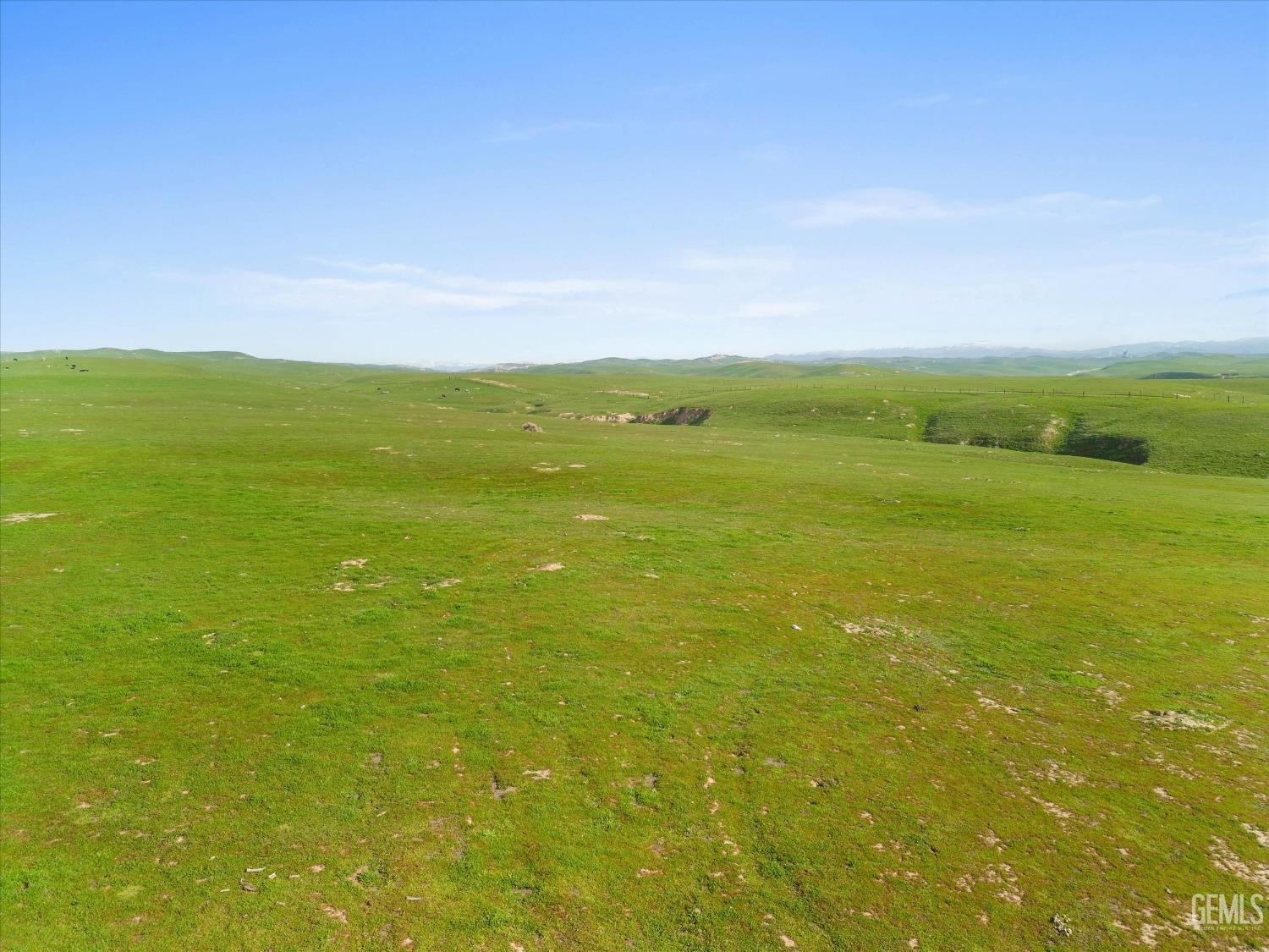 Brandy Jo Street — photo 25