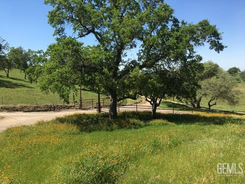 3001 Woody Granite Road — photo 14