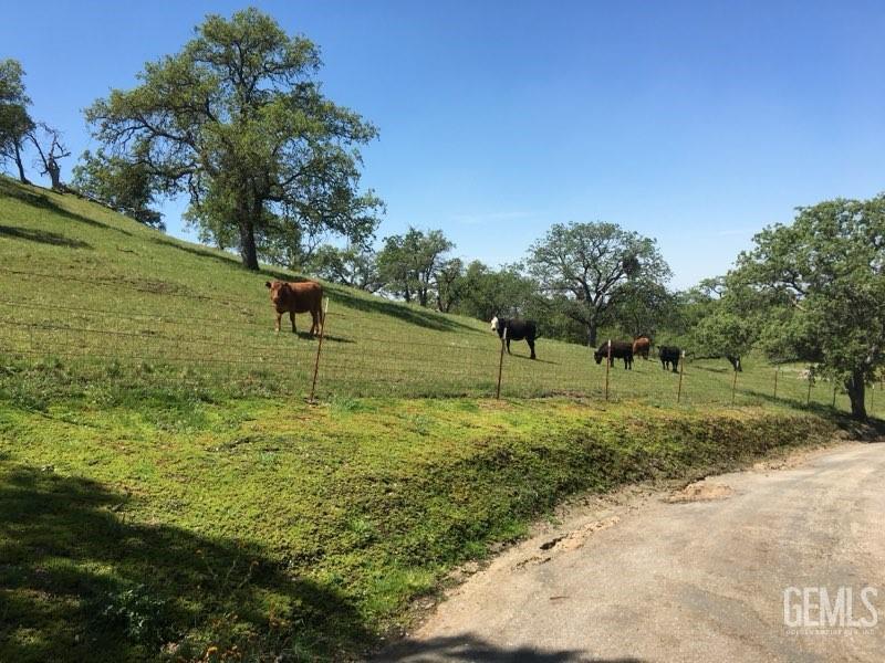 3001 Woody Granite Road — photo 13