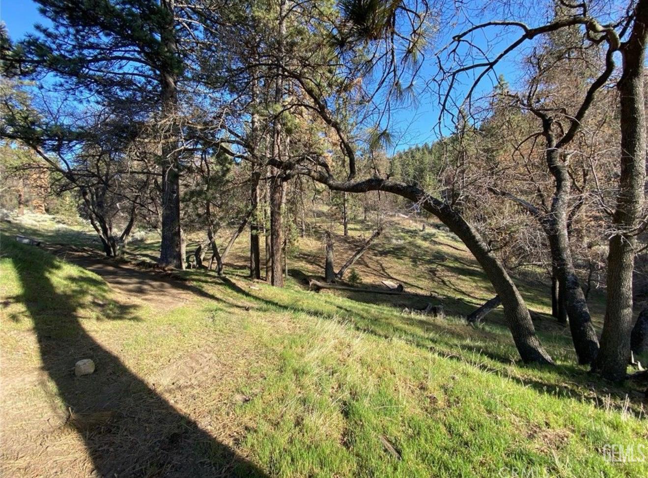 16810 Grindelwald Drive — photo 29