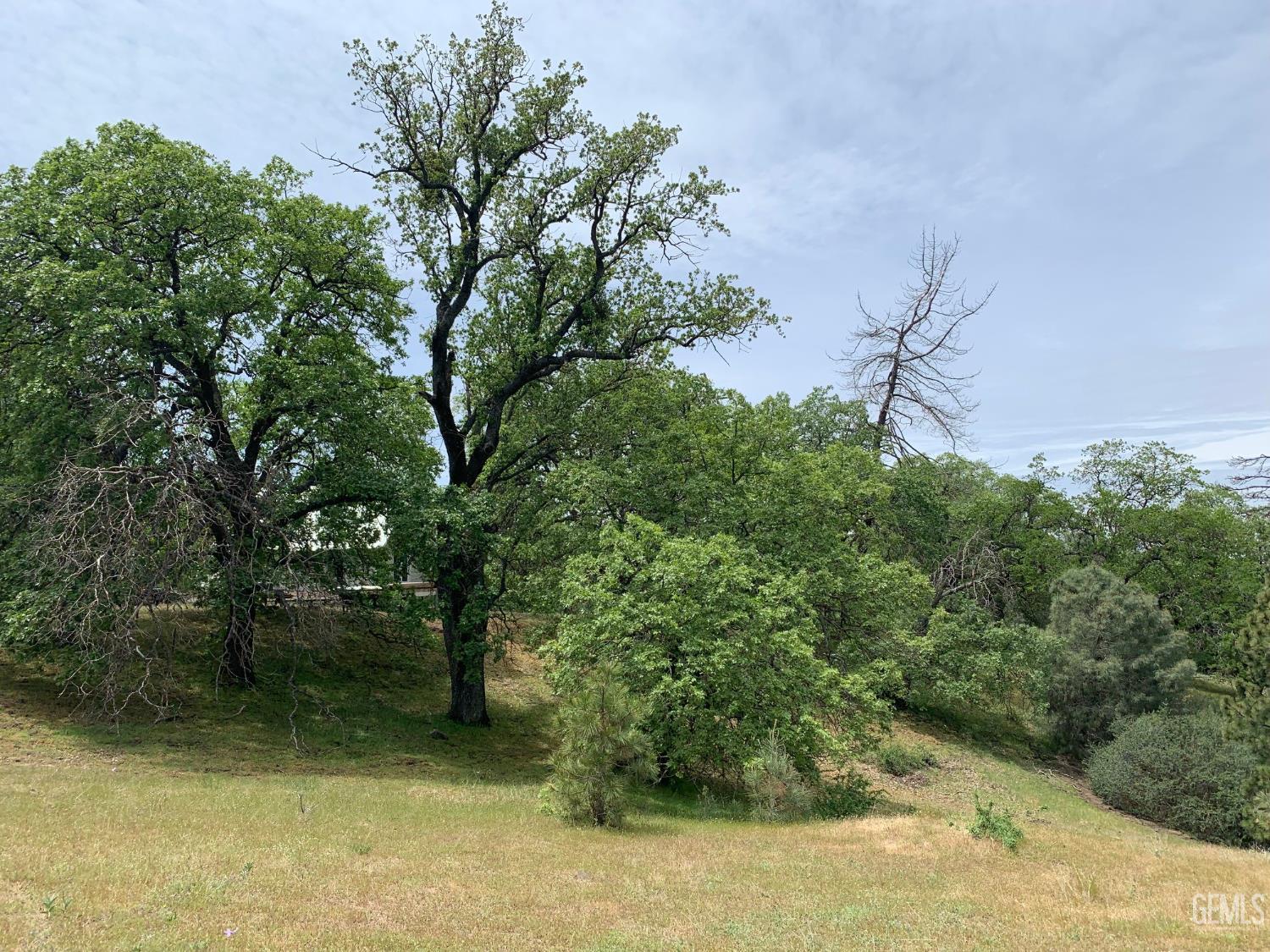 Rancheria Road — photo 54