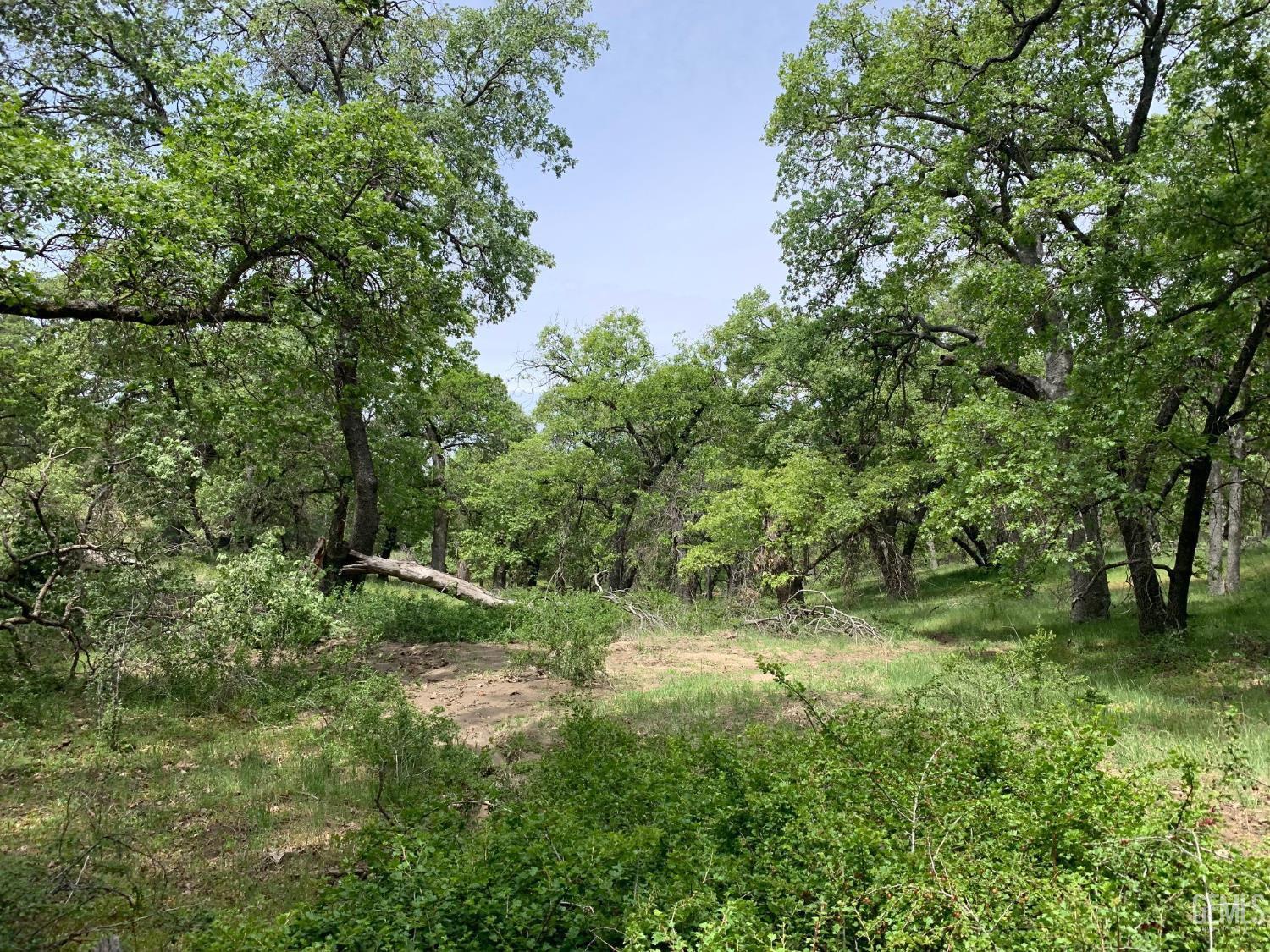Rancheria Road — photo 44