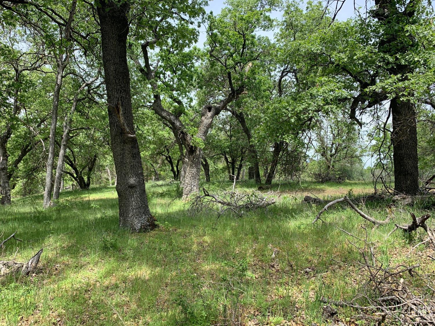 Rancheria Road — photo 45