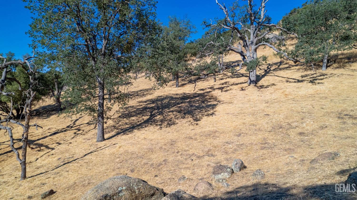 Alameda Place — photo 5