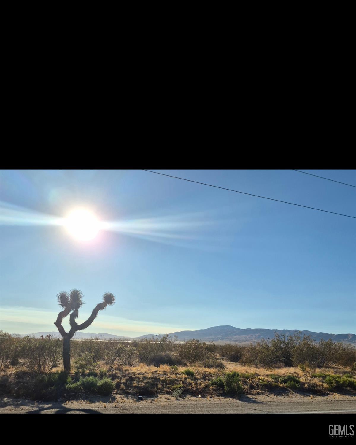 Gayiety Avenue — photo 5