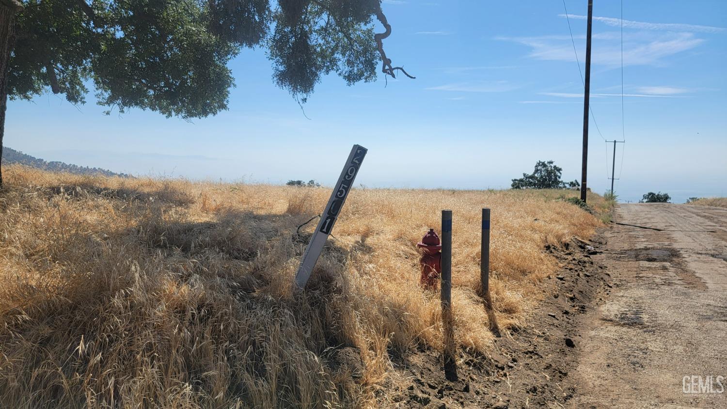 29501 Deertrail Drive — photo 5