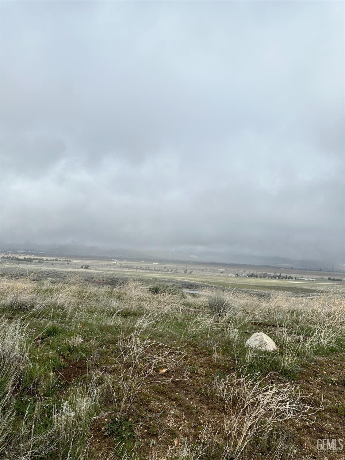 Dotty Court — photo 3