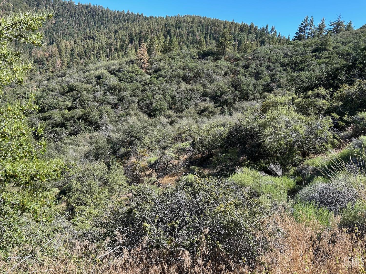 Vacant Land St Mortitz Drive — photo 5