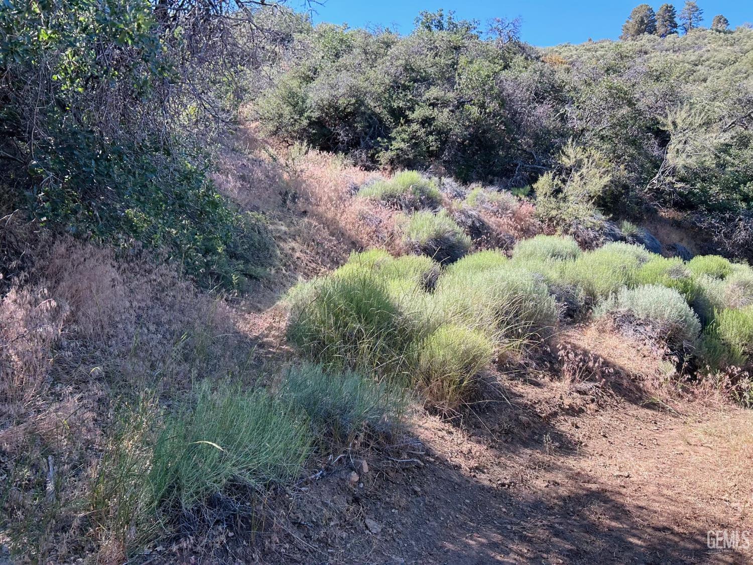 Vacant Land St Mortitz Drive — photo 3