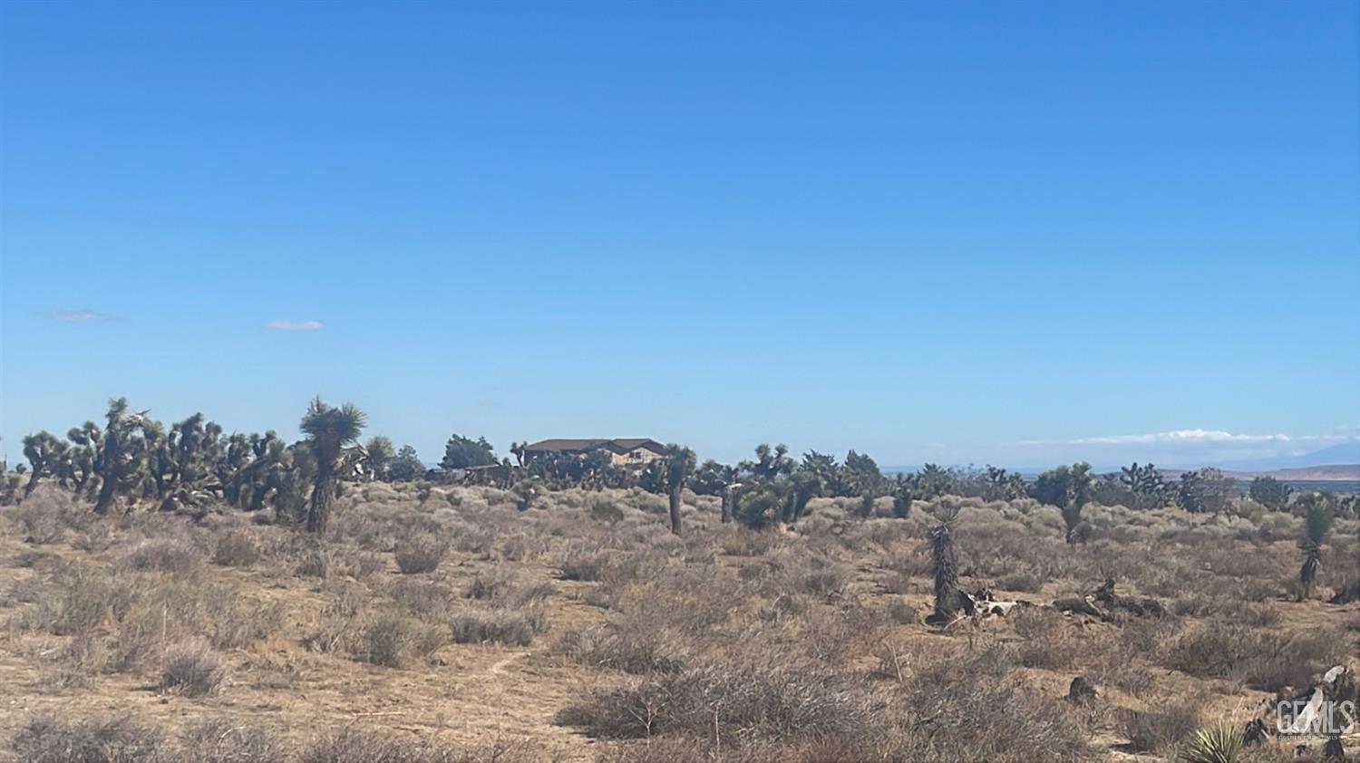 Patterson Rd — photo 3