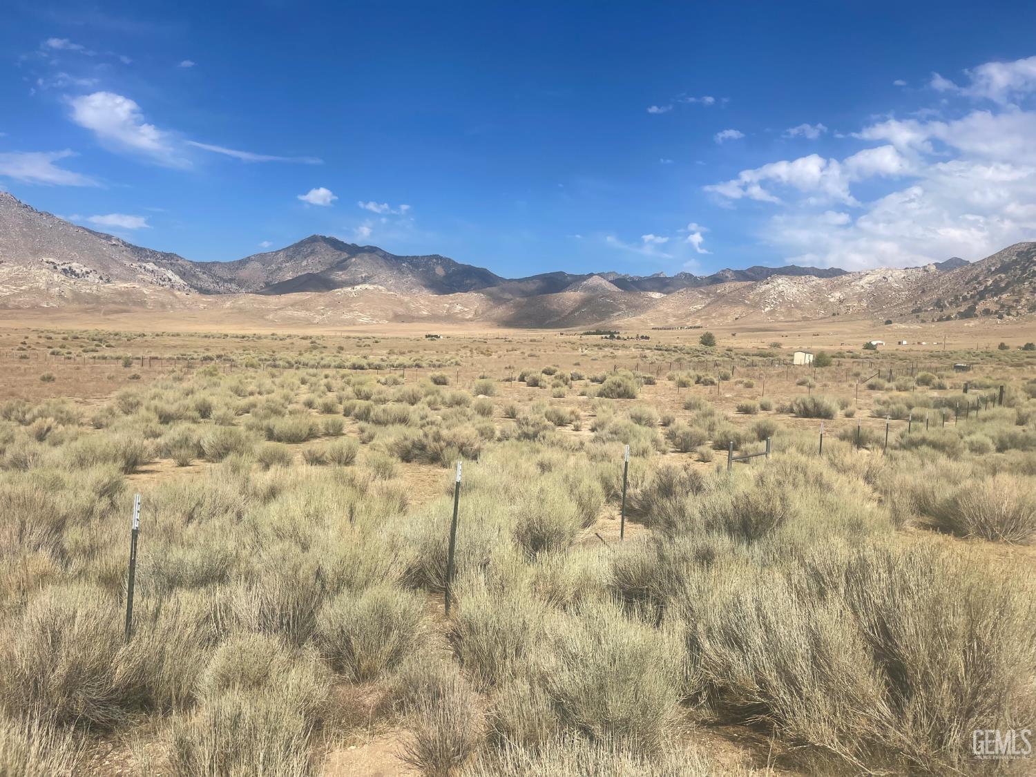 Gibbs Ave — photo 5