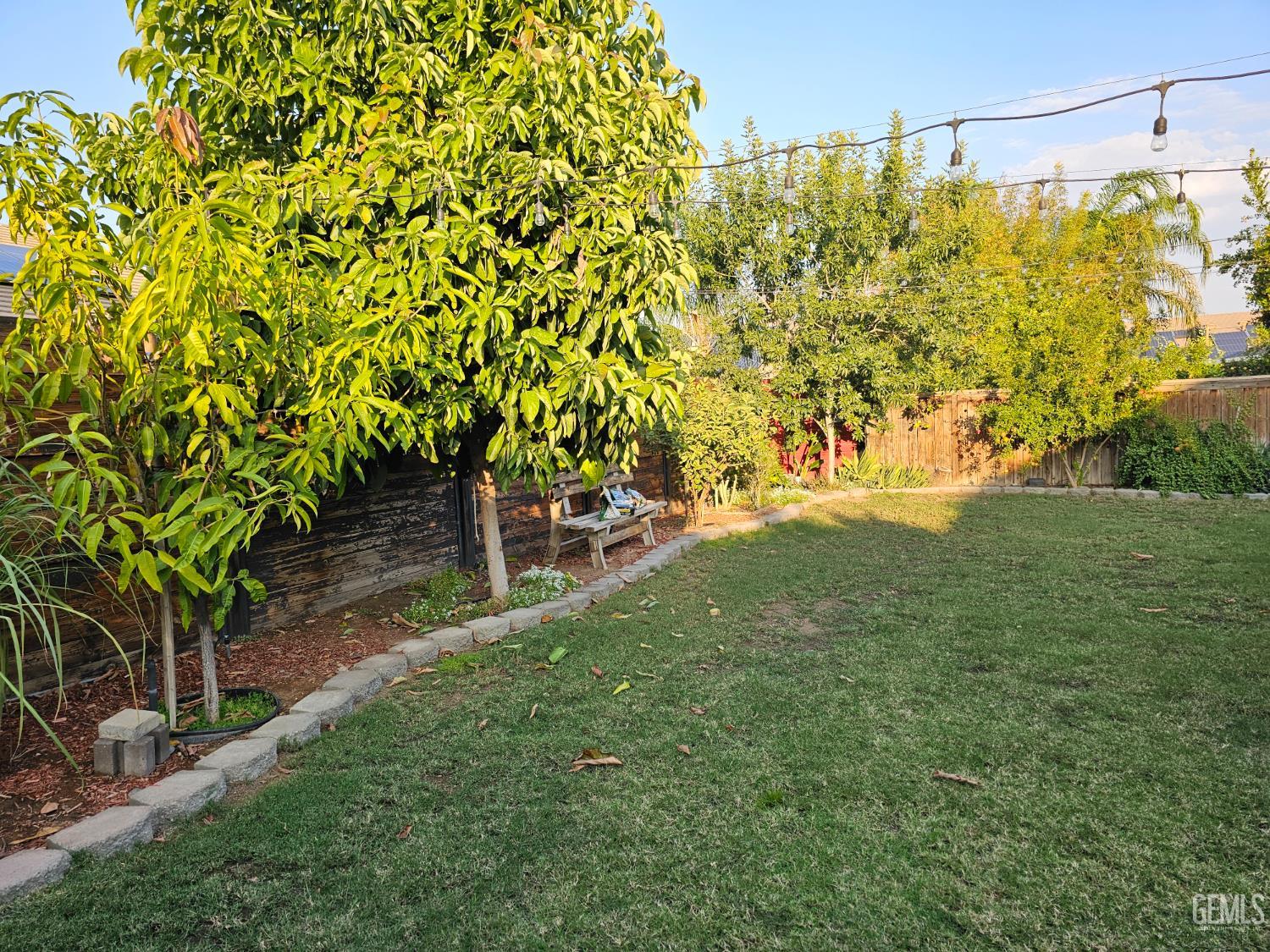 11726 Christmas Rose Drive — photo 22