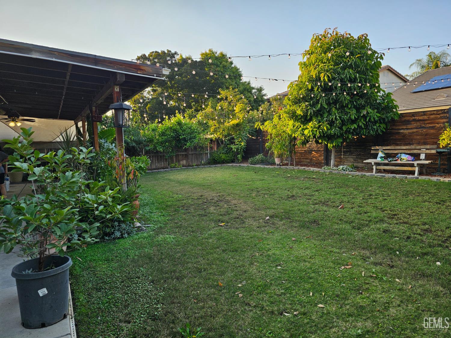 11726 Christmas Rose Drive — photo 25