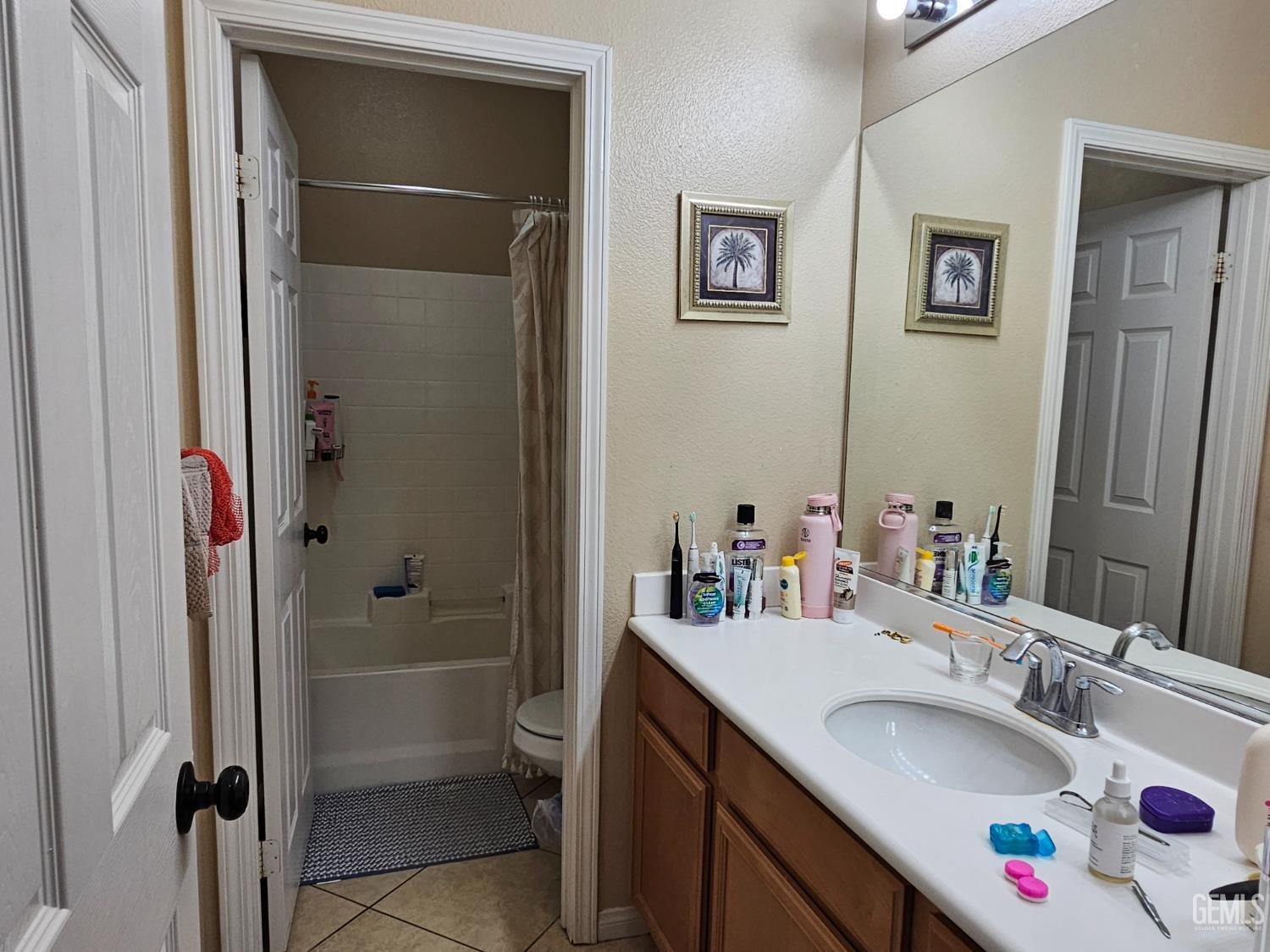 11726 Christmas Rose Drive — photo 6