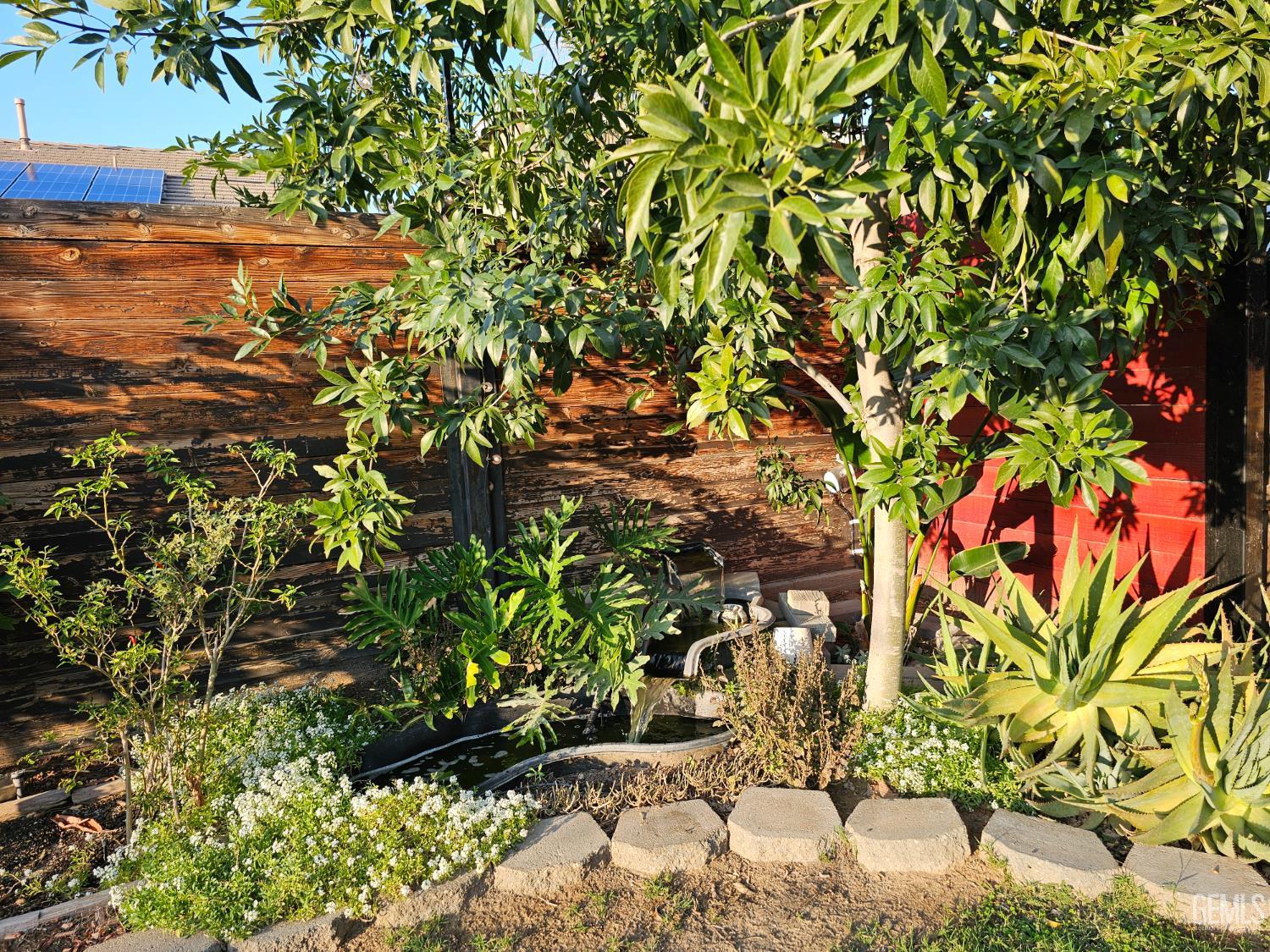 11726 Christmas Rose Drive — photo 24