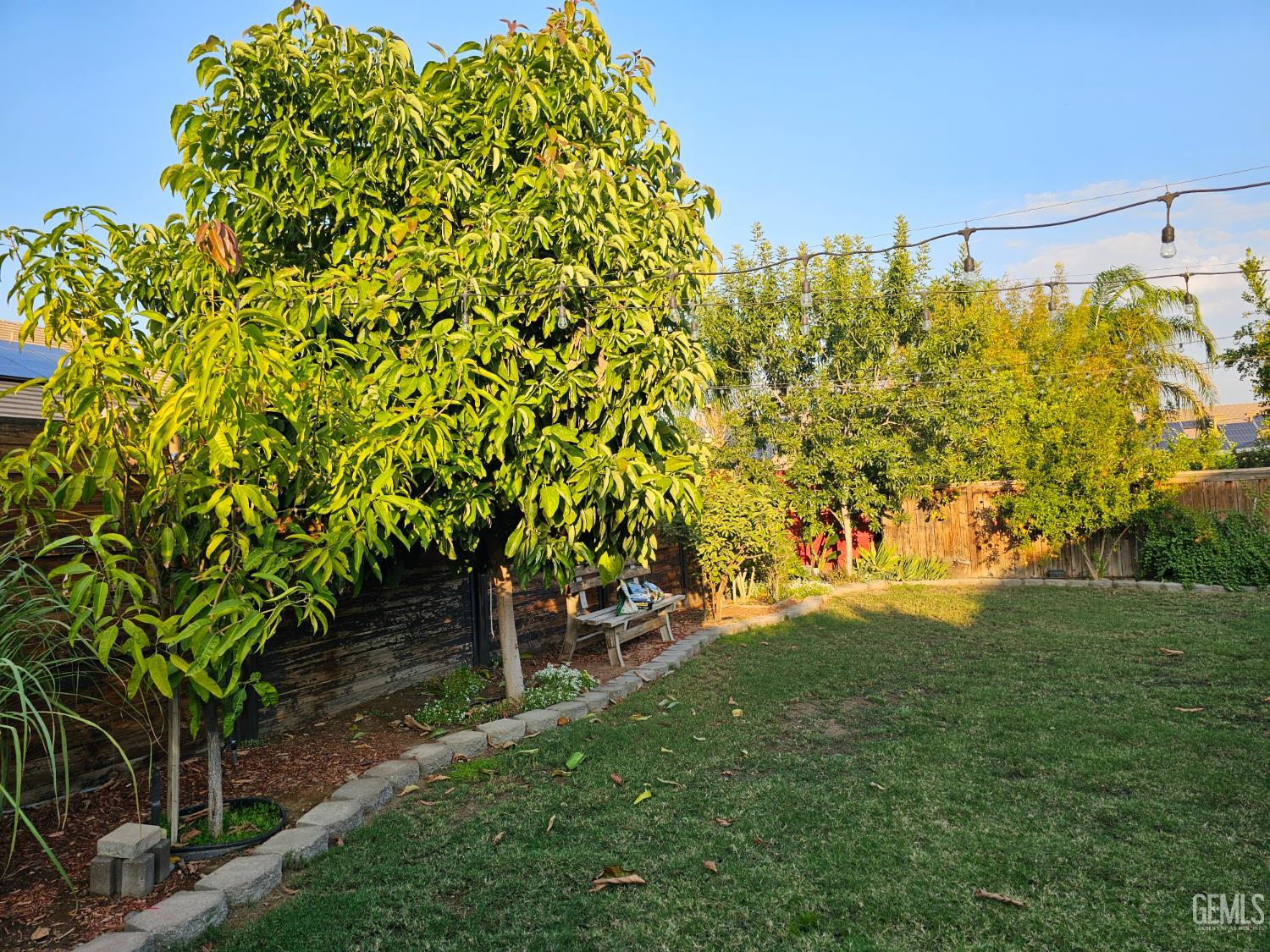 11726 Christmas Rose Drive — photo 23