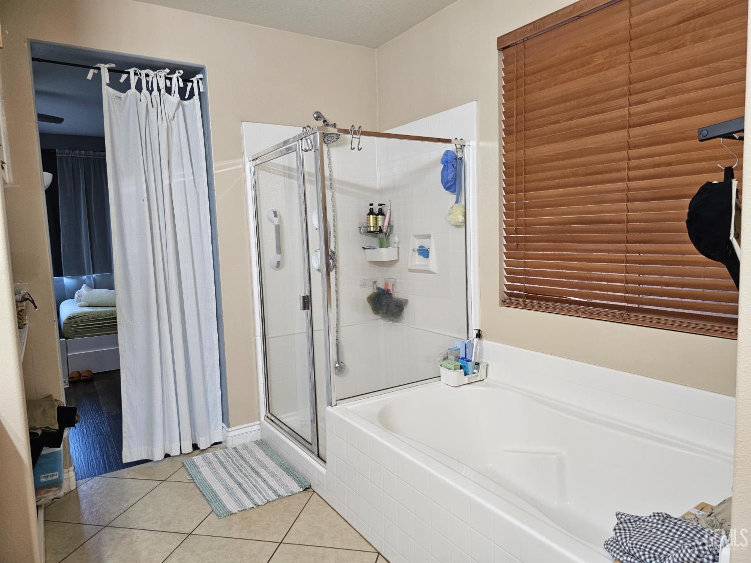 11726 Christmas Rose Drive — photo 18