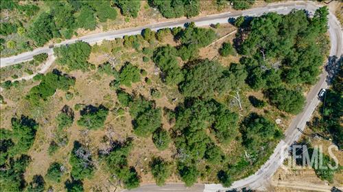 El Camino Drive — photo 12