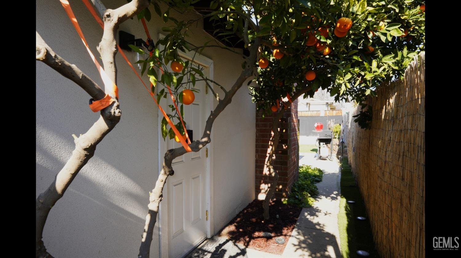 3206 Candlewood Drive — photo 19