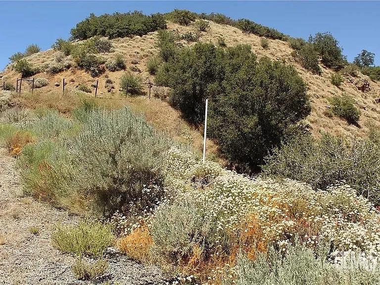 17930 Mountain Climber Way — photo 4