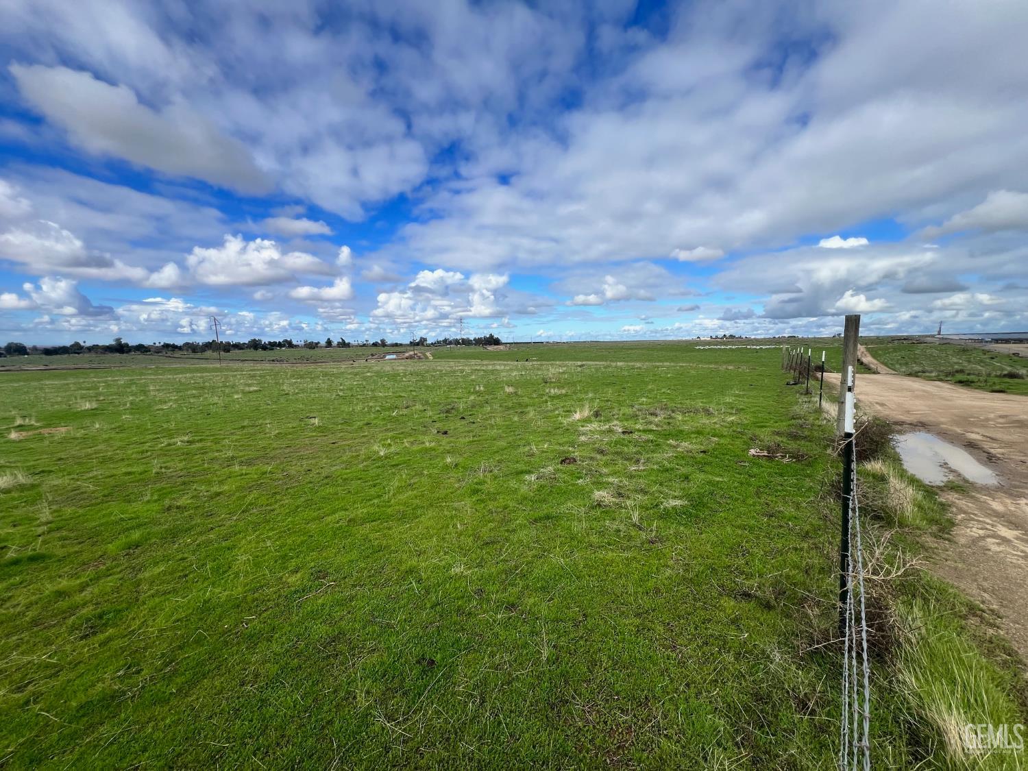 33789 Madera Street — photo 5