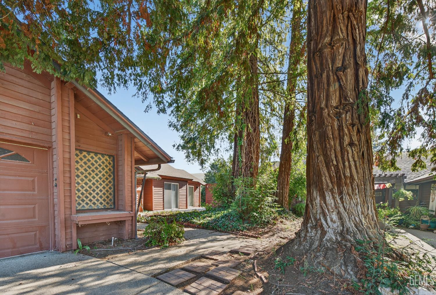 12110 Backdrop Court — photo 3