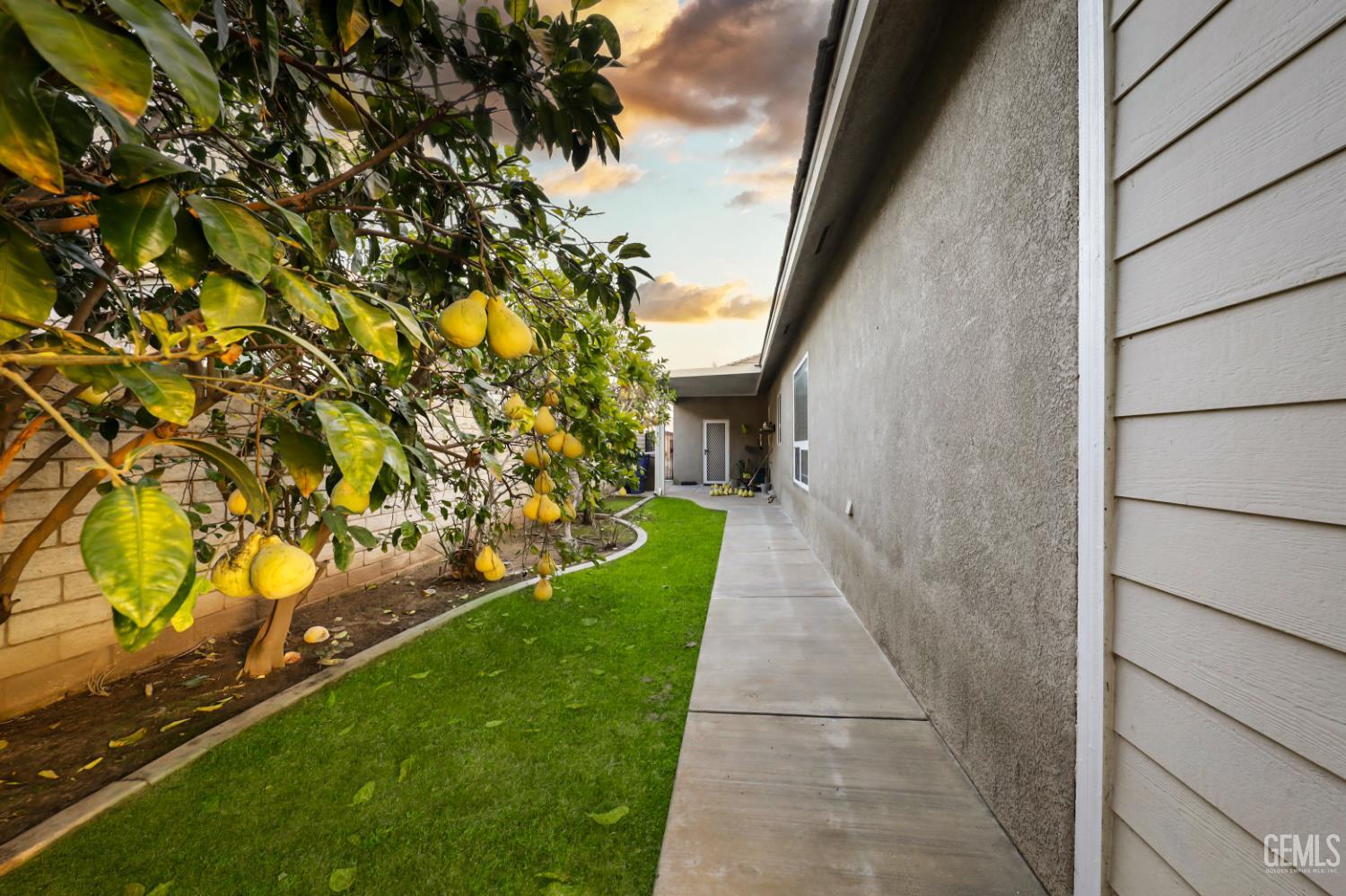 10308 Dutch Iris Drive — photo 30