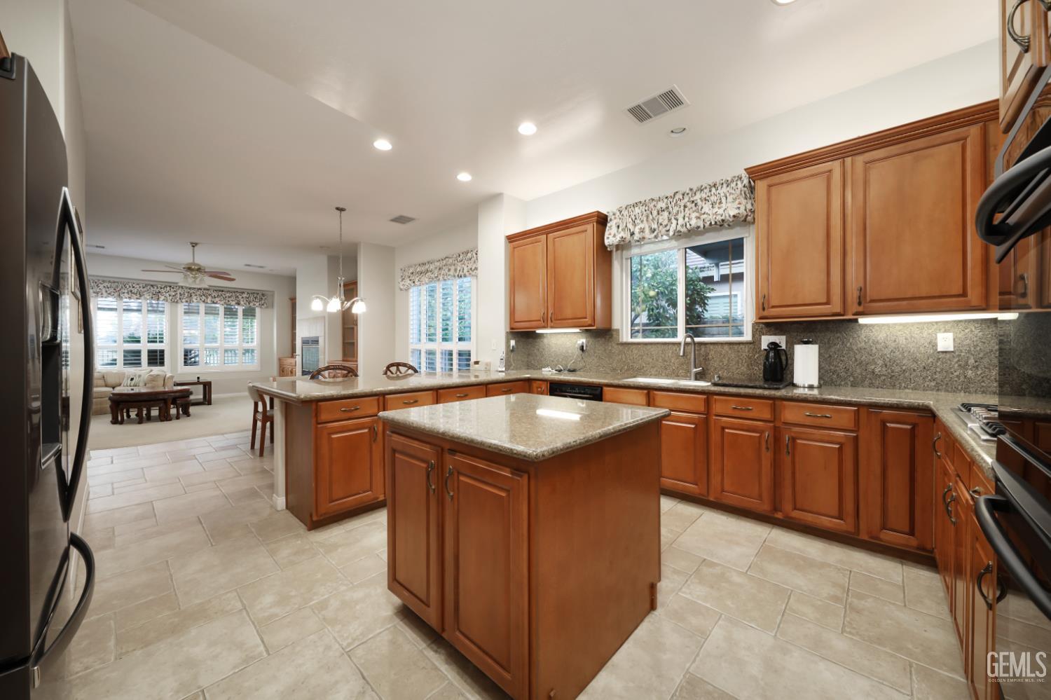 10308 Dutch Iris Drive — photo 8