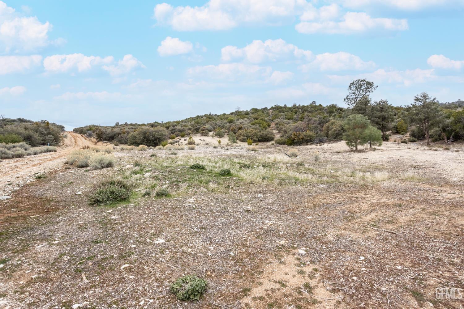 Umfalozi Road — photo 5