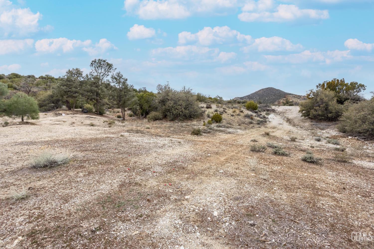 Umfalozi Road — photo 5