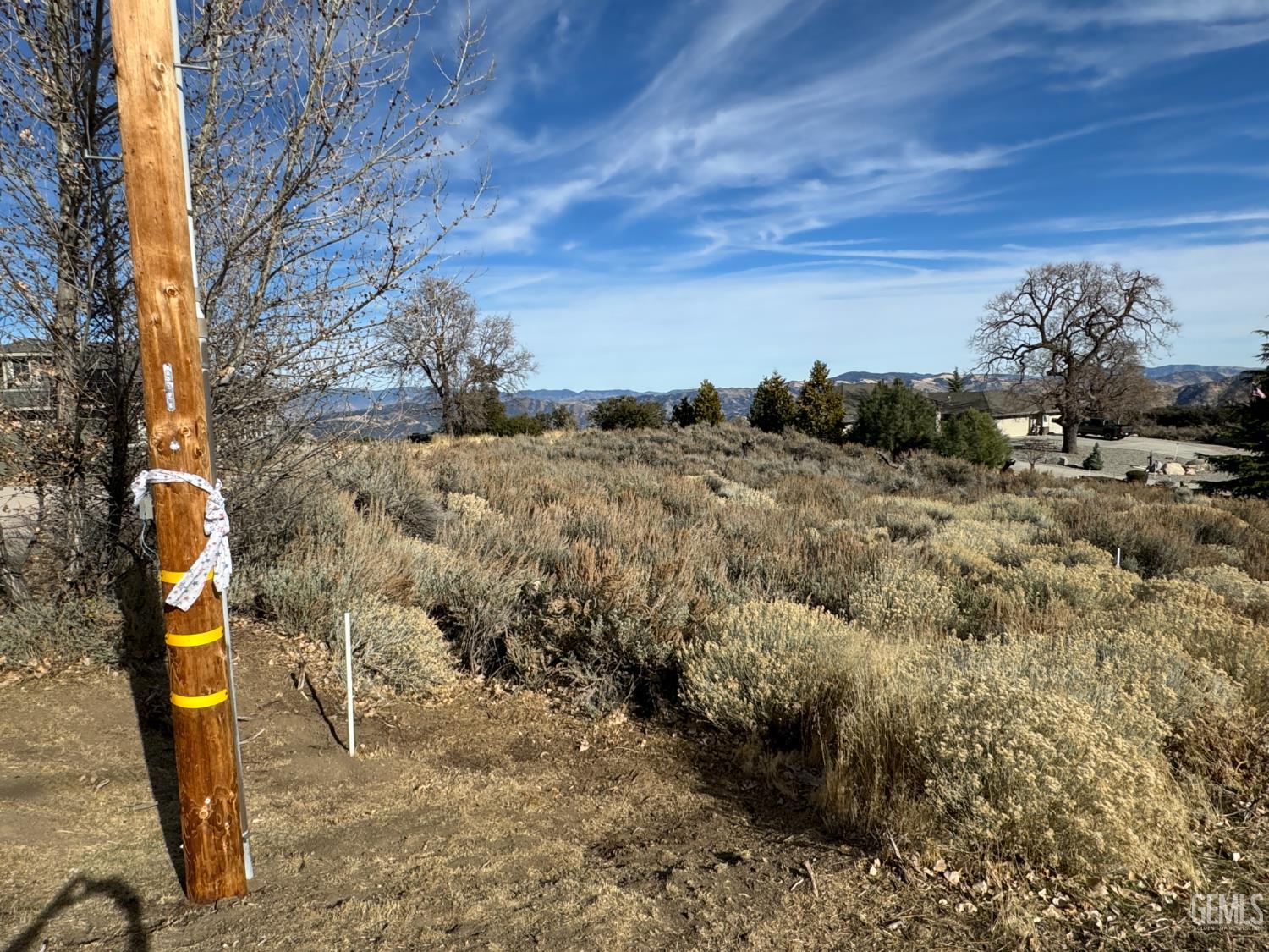 25160 Jacaranda Drive — photo 5