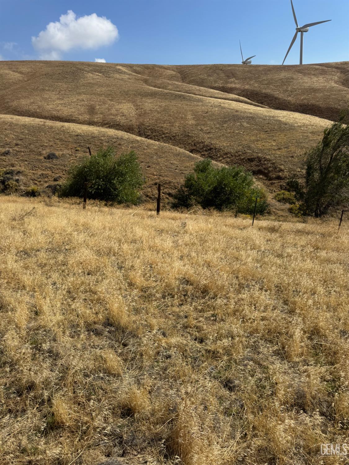 Cameron Road — photo 22