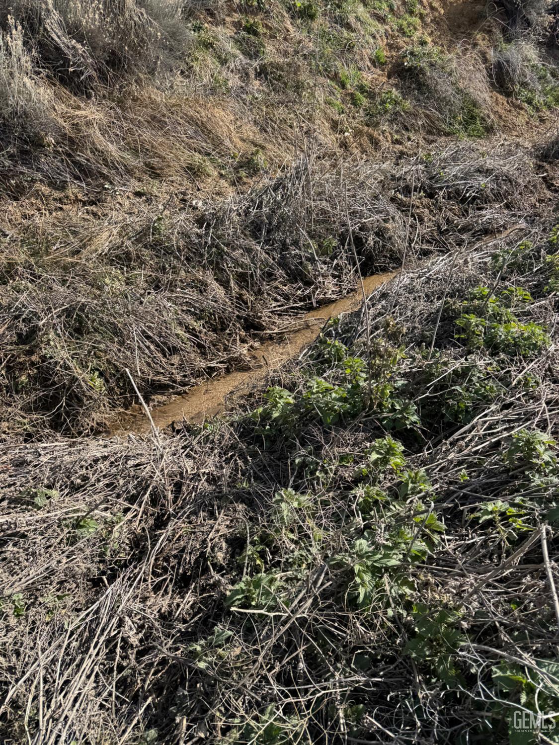 Cameron Road — photo 12