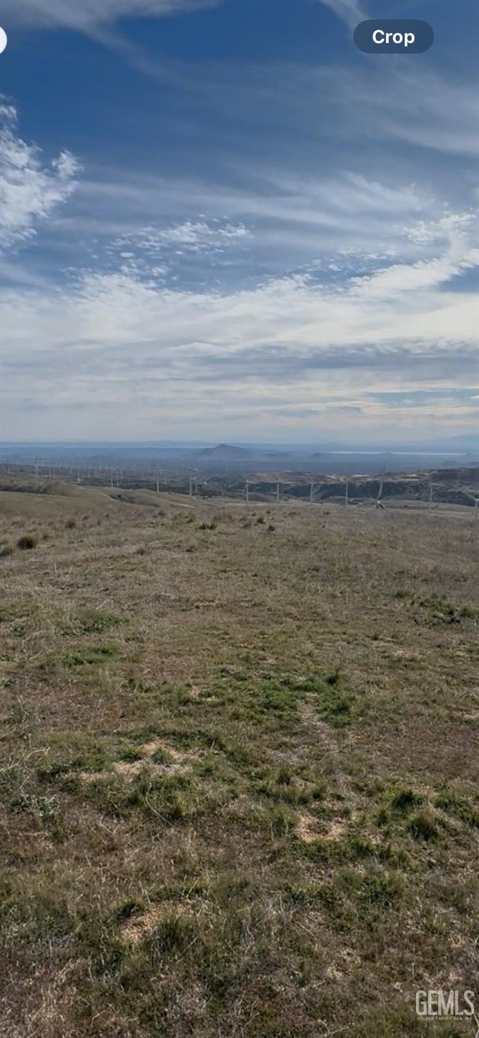 Cameron Road — photo 5