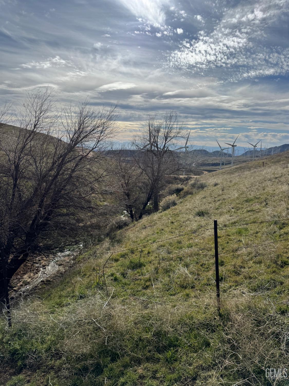 Cameron Road — photo 5