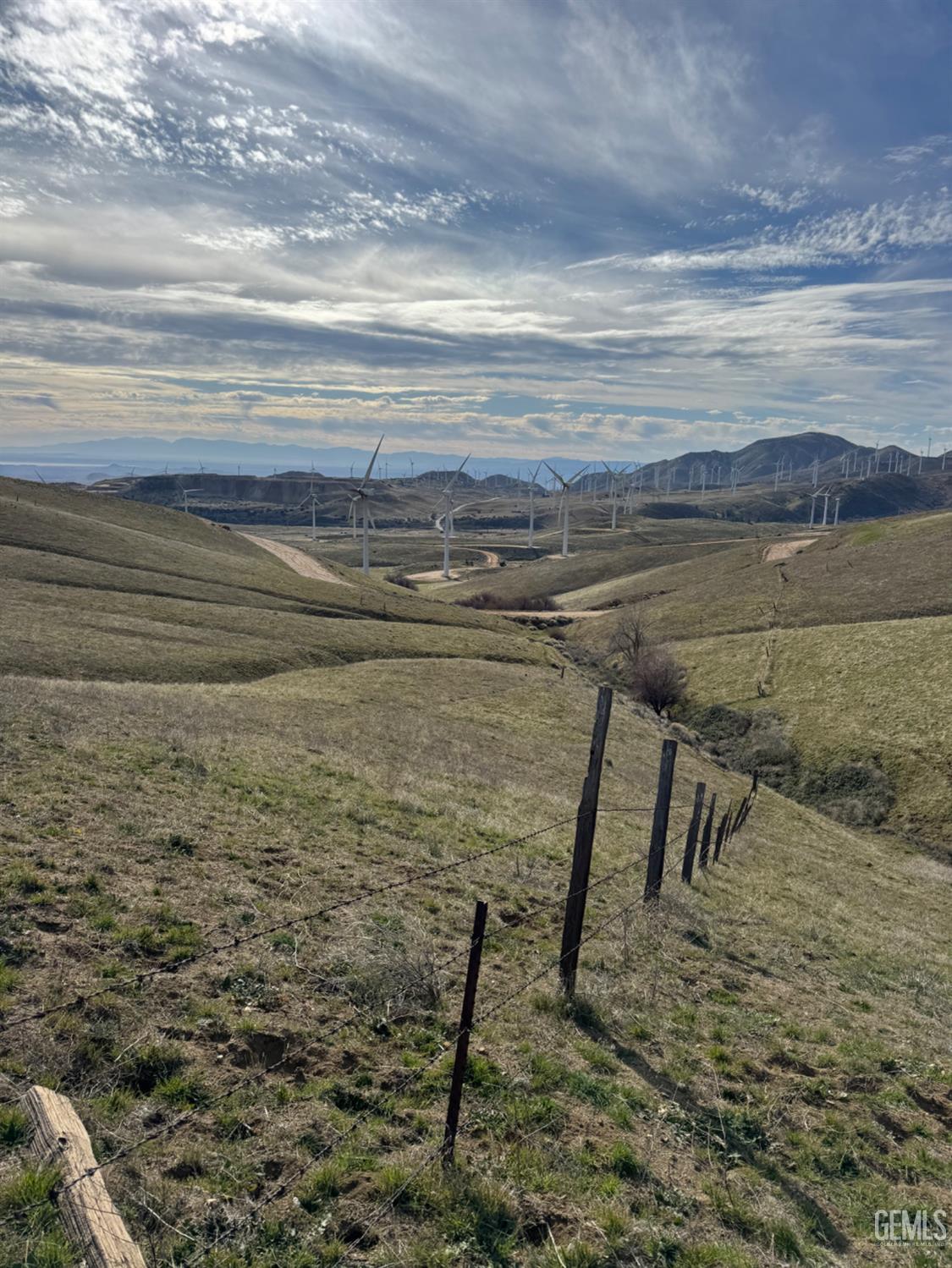 Cameron Road — photo 8