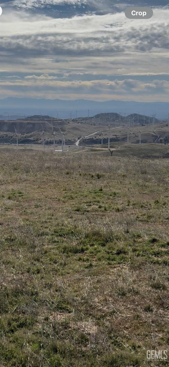 Cameron Road — photo 3