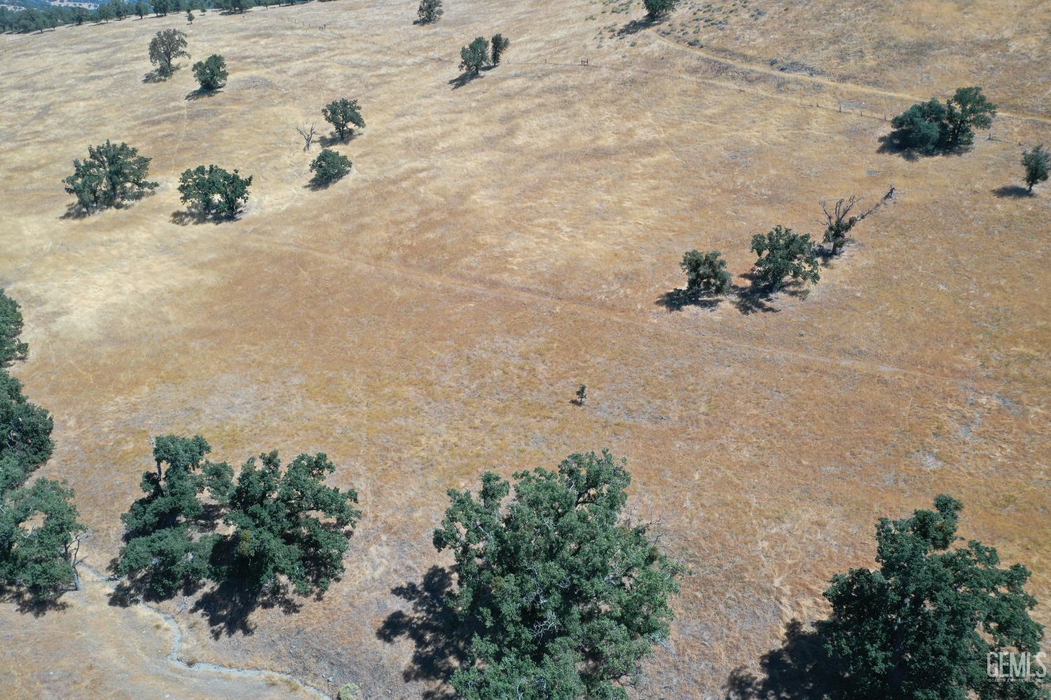 Arosa Road — photo 3