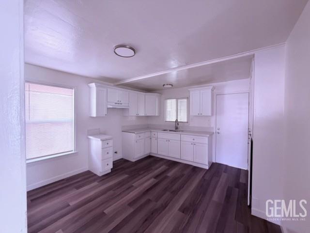 321 Lincoln Avenue — photo 4