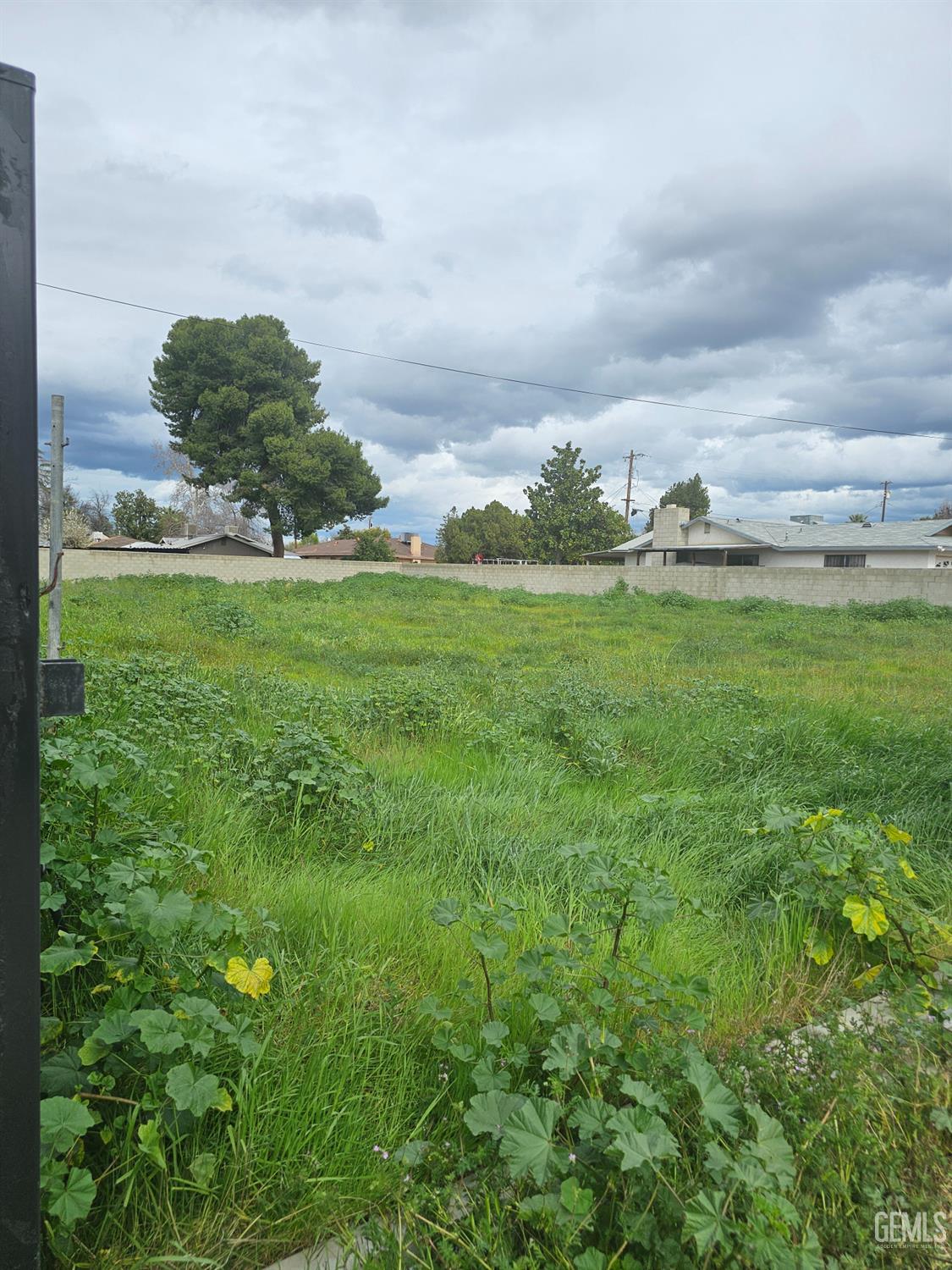 443 Myrtle Street — photo 3