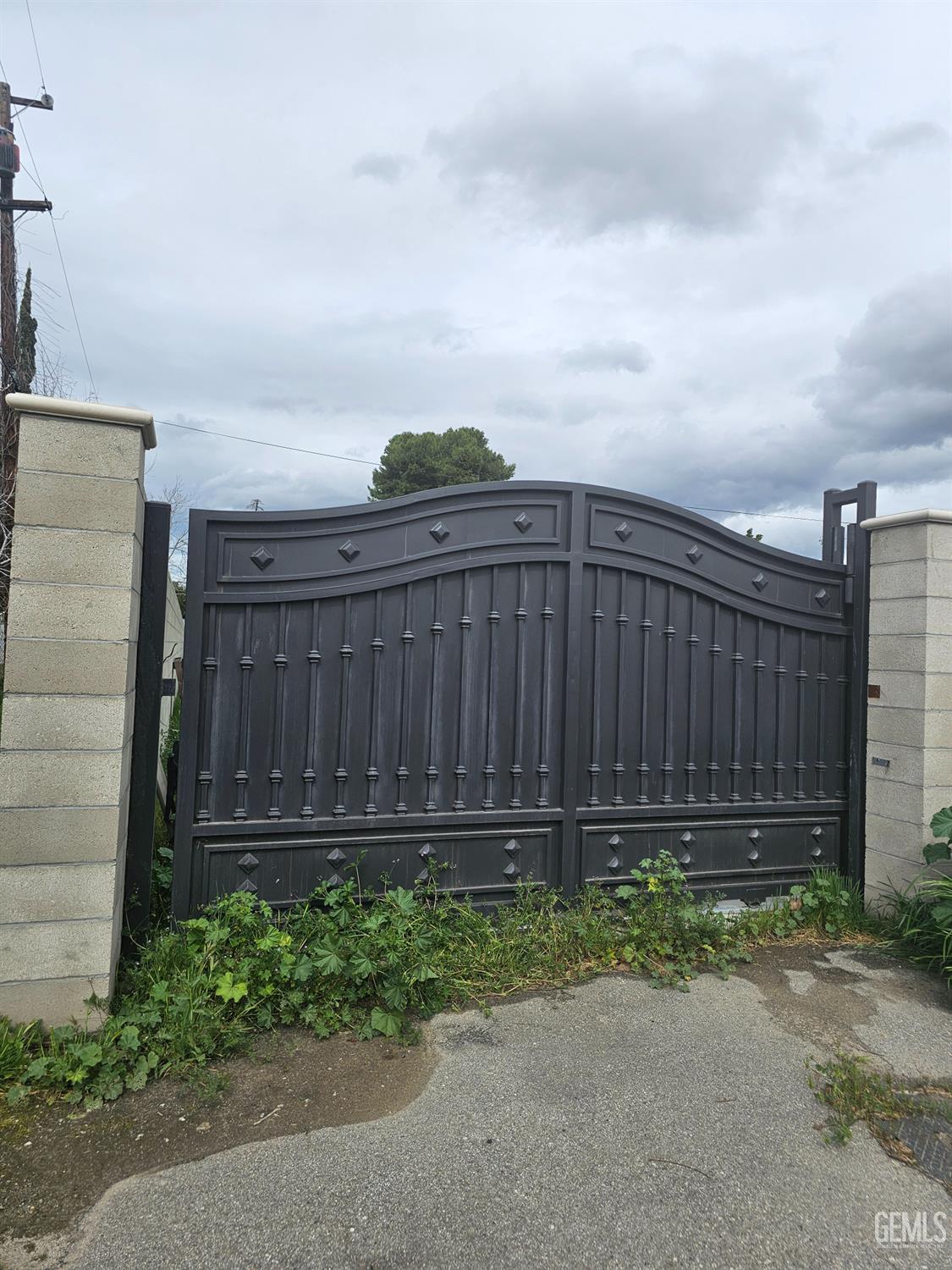 443 Myrtle Street — photo 5