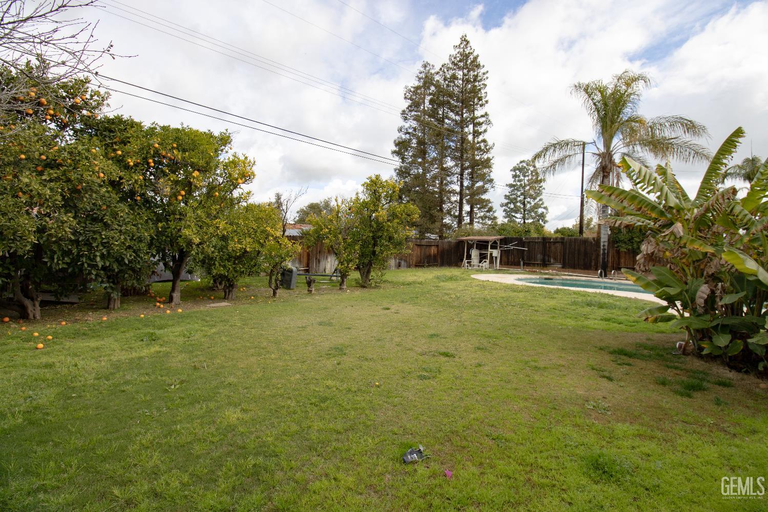 3612 Christmas Tree Lane — photo 18
