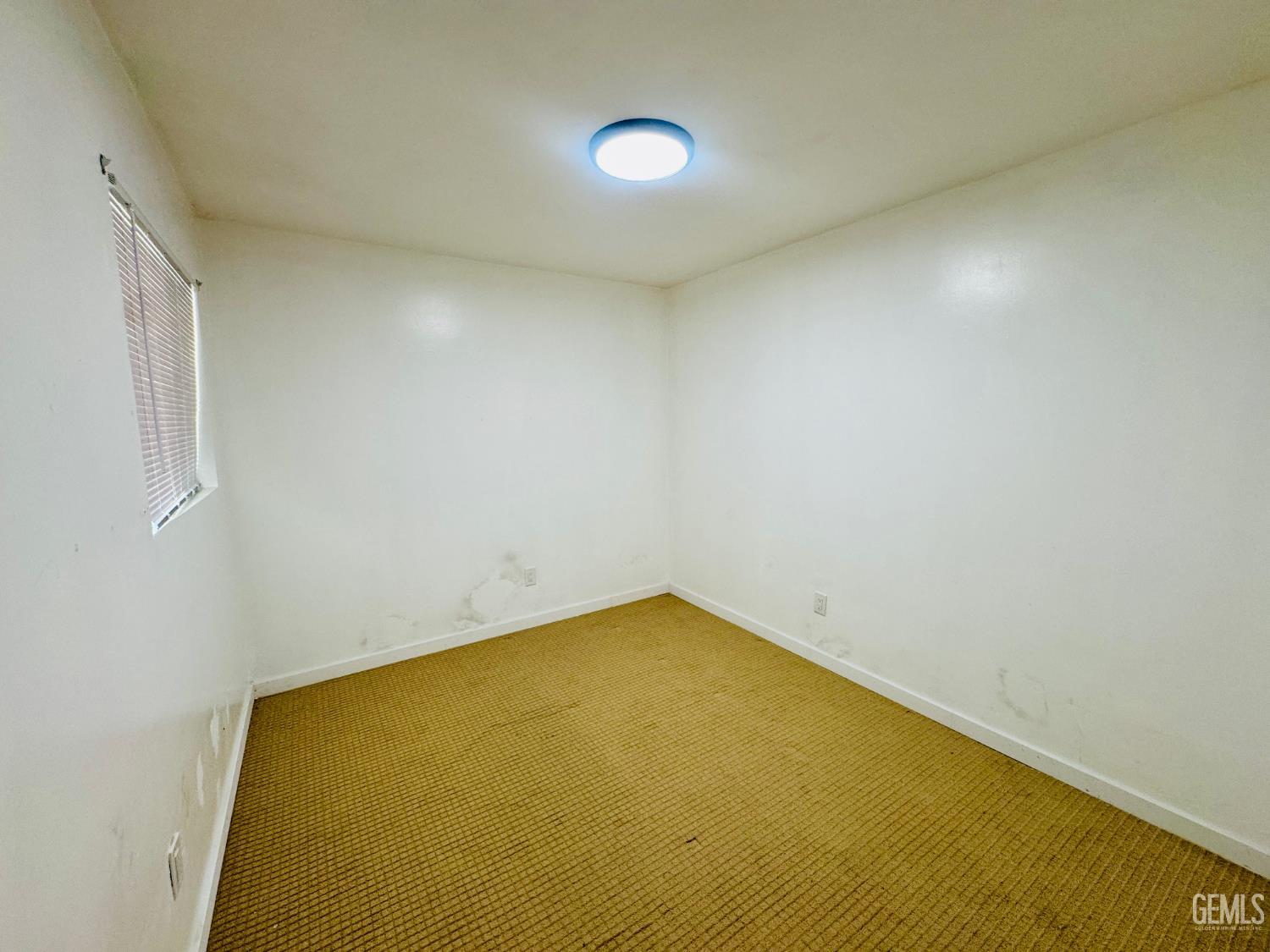 1031 Elizabeth Court — photo 12