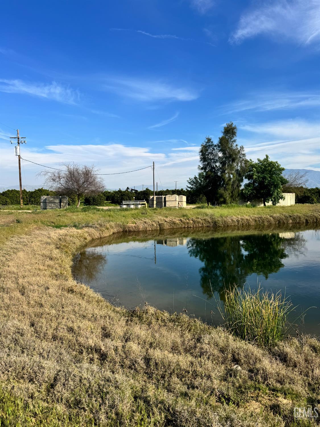 Comanche 80ac Organic Navels — photo 7