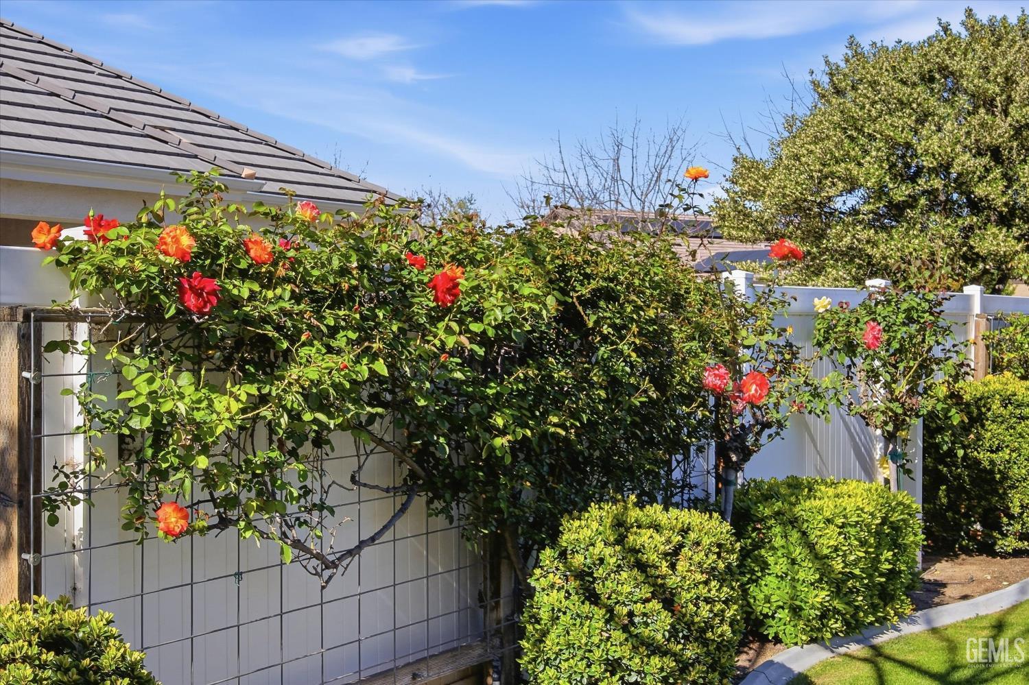 12302 Abercromby Drive — photo 5